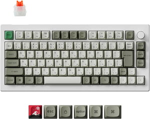 Keychron C75 TMR 8K �}�O�l�b�g�X�C�b�`���� �L���J�X�^�����J�j�J���L�[�{�[�h