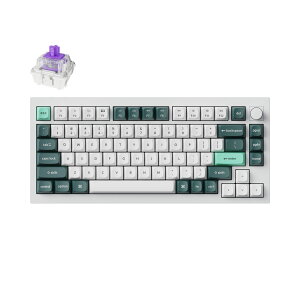 Keychron Q1 HE �}�O�l�b�g�X�C�b�`���� QMK ���C�����X �J�X�^���L�[�{�[�h