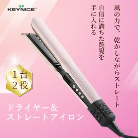 ドライヤーストレートナー イオン搭載 ドライヤー ストレートヘアアイロン 2in1 高濃度マイナスイオン搭載 ヘアアイロン 5段階温度 3段階風量 スタイリング 予熱不要 ヘアスタイラー 乾髪 濡れ髪 両用 2WAY ピンク 女性 クリスマス ギフト KN-268