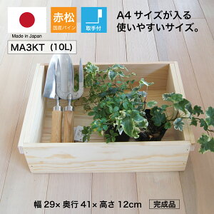 wؔ MA3KT/t/(ԏ pC)xYC 񂲔琶܂ꂽؔ 12cm 29m s41cm ϐ x h ؔ  ؐ [ {bNX P[X t[{bNX  