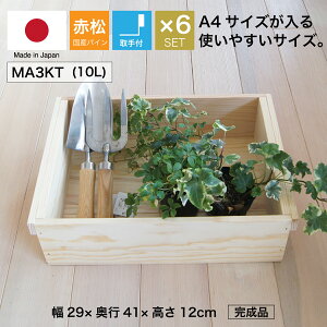 wؔ MA3KT/t/6Zbg(ԏ pC)xYC 񂲔琶܂ꂽؔ 12cm 29m s41cm ϐ x h ؔ  ؐ [ {bNX P[X t[{bNX 
