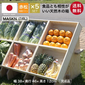 wؔ MA5KN/Ȃ/5Zbg(ԏ pC)xYC 񂲔琶܂ꂽؔ 12cm 38m s46cm ϐ x h ؔ  ؐ [ {bNX P[X t[{bNX 