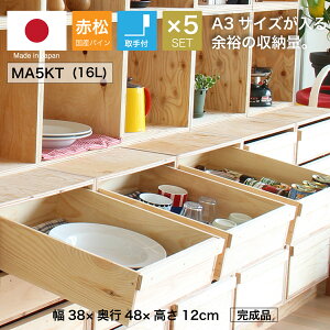 wؔ MA5KT/t/5Zbg(ԏ pC)xYC 񂲔琶܂ꂽؔ 12cm 38m s48cm ϐ x h ؔ  ؐ [ {bNX P[X t[{bNX 
