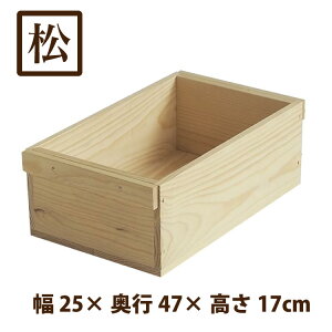 wX^bLOؔM/t(ԏ pC)xYC 񂲔琶܂ꂽؔ 17cm 30cm s47cm ϐ x h ؔ  ؐ [ [P[X t[{bNX bN VF