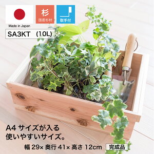 wؔ SA3KT/t()xYC 񂲔琶܂ꂽؔ 12cm 29cm s41cm h ؔ  ؐ [ {bNX [P[X t[{bNX  [ gC g[ 