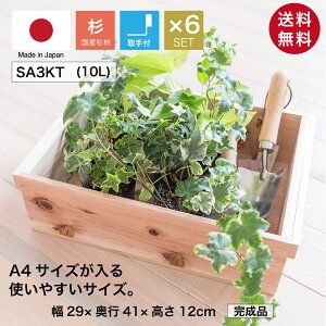 wؔ SA3KT/t/6Zbg()xYC 񂲔琶܂ꂽؔ 12cm 29cm s41cm h ؔ  ؐ [ {bNX [P[X t[{bNX  [ gC 