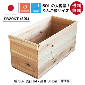 wؔ SB20KT/t()xYC 񂲔琶܂ꂽؔ 31cm 30cm s64cm h ؔ  ؐ [ [{bNX [P[X t[{bNX bN VFt Rei 