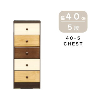 i `FXg ^X \y 5i 40cm 40-5 g ؐ { 5i`FXg X`FXg X^Cv m[ rO rO[ o  킢 w V uE