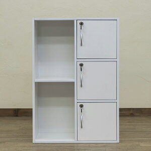 マルチラック 扉付き 鍵付き オフィス 書類 雑誌 洋服 整理整頓 カラーボックス 幅60 マグネット 取っ手付き 生活用品 インテリア 雑貨 目隠し 60cm幅 収納 ラック 棚 シンプル 収納棚 扉付きカ