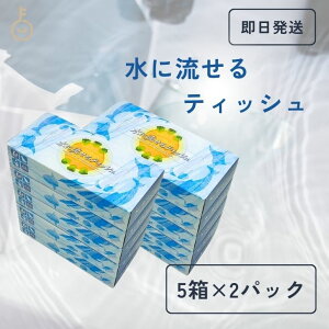 y|Cg3{I11/24 23:59܂Łz m ɗeBbV ( 120g (240) × 5 ) ×2Zbg ɗeBbVy[p[ eBbV eBbVy[p[ { Ɩp e cqY