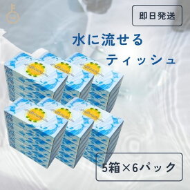 【25日限定ポイント2倍！最大2000円OFF】 太洋紙業 水に流せるティッシュ ( 120組 (240枚) × 5個 ) ×6セット 水に流せるティッシュペーパー ティッシュ ティッシュペーパー 日本製 業務用 大容量 田子浦パルプ ティッシュ 包装ティッシュ 高級 まとめ買い 送料無料