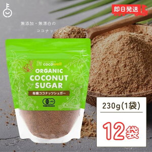 yr[e500~OFFN[|z RREF L@RRibcVK[ 230g 12 ۑ F  _ Y L@JAS RRibcVK[ RRibc VK[ Y VR I[Kj