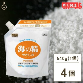 【500円OFFクーポン配布中】 海の精 やきしお スタンドパック 540g 4袋 お塩 塩 天日塩 伊豆大島産海水100% 壷焼製法 焼塩 ミネラル 天日 天然塩 送料無料