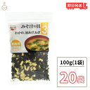 【ポイント2倍！12/9 23:59まで】 永谷園 業務用 みそ汁の具 その3（わかめ・油揚げ・ねぎ）100g 20個 みそ汁 味噌汁 大容量 味噌汁の具 乾燥具材 送料無料 ランキング お歳暮2025 ポイント消化