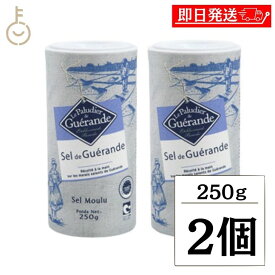 【レビュー投稿で500円OFFクーポン】 ゲランドの塩 顆粒 250g 2個 セルマランド ゲランド しお シオ 調味料 食塩 送料無料 フランス ブルターニュ地方 ゲランド塩田 海塩 天日塩 天然物 あら塩 顆粒状 ボックスタイプ ランキング2026 ポイント消化 福袋