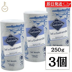 【レビュー投稿で500円OFFクーポン】 ゲランドの塩 顆粒 250g 3個 セルマランド ゲランド しお シオ 調味料 食塩 送料無料 フランス ブルターニュ地方 ゲランド塩田 海塩 天日塩 天然物 あら塩 顆粒状 ボックスタイプ ランキング2026 ポイント消化 福袋