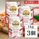 【マラソン限定！最大2000円OFF】 ピザ カプート サッコロッソ クオーコ 1kg 3個 ピザ生地 小麦粉 ピザ用小麦粉 ピザ用 pizza 小麦 最適な小麦粉 弾力 グルテン グルテンフリー コシの強さ 弾力性 食品 ナポリピッツァ デニッシュ フォカッチャ ランキング お中元2025