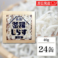 【レビュー投稿で500円OFFクーポン】 静岡釜揚しらす缶詰 40g 24缶入 山梨罐詰 静岡釜揚しらす 缶詰 静岡…
