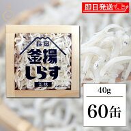 【レビュー投稿で500円OFFクーポン】 静岡釜揚しらす缶詰 40g 60缶入 山梨罐詰 静岡釜揚しらす 缶詰 静岡…