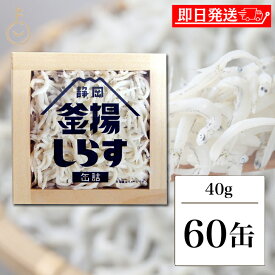 【レビュー投稿で500円OFFクーポン】 静岡釜揚しらす缶詰 40g 60缶入 山梨罐詰 静岡釜揚しらす 缶詰 静岡 名産品 シラス 駿河湾 おつまみ つまみ おかず 釜揚 かまあげ しらす シラス 釜揚しらす カンヅメ かんづめ 静岡産 トッピング アレンジ 送料無料 ランキング 福袋
