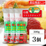 【マラソン限定！最大2000円OFF】 光食品 トマトケチャップ 300g 3個 保存料 着色料 化学調味料 無添加 …