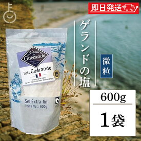 【レビュー投稿で500円OFFクーポン】 ゲランドの塩 塩 天日塩 微粒 600g エクストラファン 調味料 食塩 セルマランドゲランド 製菓 製パン お菓子 お料理に 塩 業務用 フランス しお ソルト 海塩 ゲランド 高級レストラン ランキング2026 福袋