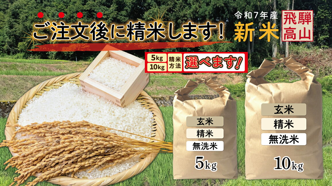 楽天市場 | keyroom 食と暮らしのパントリー - 新米 令和7年産 飛騨産 