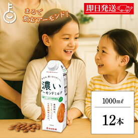 【レビュー投稿で500円OFFクーポン】 筑波乳業 濃いアーモンドミルクたっぷり食物繊維1000ml 12本 アーモンドミルク アーモンド ミルク 濃い 植物繊維 植物性ミルク 植物性 添加物不使用 乳製品不使用 砂糖不使用 パック 送料無料 ランキング ブラックフライデー2025