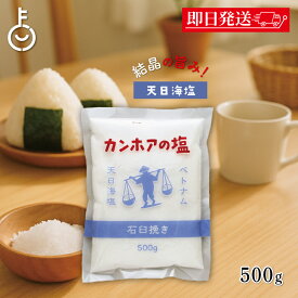 【レビュー投稿で500円OFFクーポン】 カンホアの塩 500g 1袋 石臼挽き お塩 カンホア 塩 天日塩 ベトナムの塩 ミネラル 天日 天然塩 送料無料 ランキング2026 ポイント消化 福袋