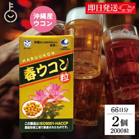 【レビュー投稿で500円OFFクーポン】 沖縄長生薬草本社 春ウコン 1000粒 2個 約33日分 琉球産 ウコン粒 サプリメント 健康食品 万能ウコン春ウコン粒 健康サプリ タブレット 大容量 肝臓ケア お酒 飲み会 人気 まとめ買い ランキング 濃縮エキス ウコンサプリメント