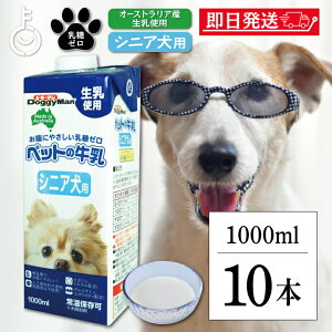yr[e500~OFFN[|z hM[} ybg   hM[}nV ybg̋ VjAp 1000ml 10 doggyman 񂿂  Ck VjA S I[XgA
