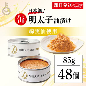 yubNtCf[Iő2000~OFFz ӂ ʖq Ђ 85g 48 q ܂ ߂񂽂 qq Ђ Mtg v[g Ԃ Lv lC Ȏ ߂񂶂 