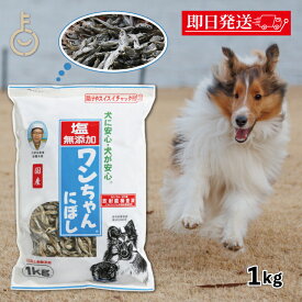 【レビュー投稿で500円OFFクーポン】 犬 おやつ 塩無添加 国産 ワンちゃんにぼし お徳用 1kg 1個 サカモトにぼし 塩無添加 ワンちゃんにぼし 業務用 大容量 犬用 おつまみ煮干し ドッグフード 大容量 サカモト ペット ブラックフライデー2025