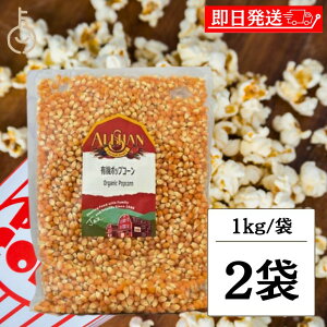 yr[e500~OFFN[|z AT L@|bvR[ 1kg 2  L@JASF I[KjbN |bvR[ Ƃ낱 p[eB[   LO nEB2025