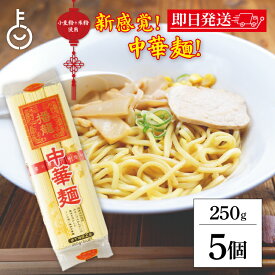【レビュー投稿で500円OFFクーポン】 田靡製麺 播龍 中華麺 米粉入り 250g 5袋 田靡 製麺 播龍 中華 麺 米粉ラーメン 米粉 ラーメン 一般食品 袋 乾麺 インスタントラーメン 即席麺 即席ラーメン 業務用 大容量 送料無料 グルテン クイッククッキング 高品質 福袋