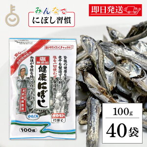 yyVX[p[SALEő2000~OFFz TJg Yɂڂ 100g 40 ۑ _h~ w Y   Hׂ鏬 ϊ ϊ ɂڂ Nɂڂ N   Jbg  