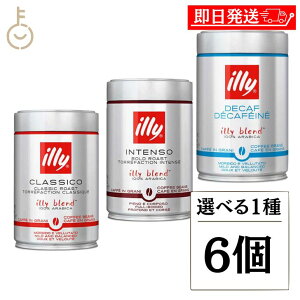 yr[e500~OFFN[|z C[ uh Iׂ1 6 illy ~fBA[Xg _[N[Xg fJtF uh R[q[ R[q[  coffee  Iׂ GXvb\ J