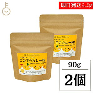 yr[e500~OFFN[|z уK[f ǂ̃J[ 90g 2 ۑ F  w Y sgp Oet[  K[f qǂ ǂ qJ[