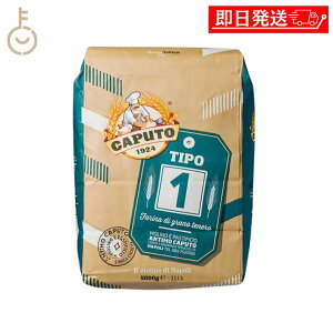 yr[e500~OFFN[|z Jv[g eB[| Em 5kg 1   sU p َq h`F sbc@ C^A z[x[J[ x[O Hp ؂߂ h[ic A