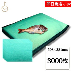 y}\Iő2000~OFFz O[p[` 4؂ 3000 508×381mm Lb`y[p[ y[p[^I ܂ RpNg lc ޗ΂̎  ΂̎ O[p[` O[