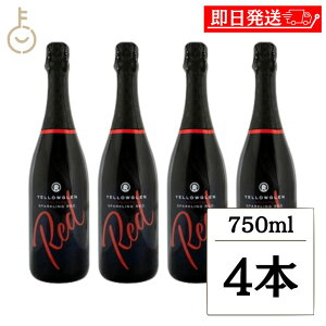 yr[e500~OFFN[|z BbW Z[Y CG[O bh Xp[NO NV 750ml 4{ C Vp Xp[NO Ì ʎ I[XgA LO 