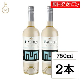 【マラソン限定！最大2000円OFF】 ヴィレッジ セラーズ ナウエン レゼルバ エスペシアル ソーヴィニヨン ブラン S22 750ml 2本 白ワイン ワイン 辛口 果実酒 チリ ランキング 業務用 大容量 送料無料2026 ポイント消化 福袋 父の日 早割 送料無料