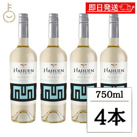 【レビュー投稿で500円OFFクーポン】 ヴィレッジ セラーズ ナウエン レゼルバ エスペシアル ソーヴィニヨン ブラン S22 750ml 4本 白ワイン ワイン 辛口 果実酒 チリ ランキング 業務用 大容量 送料無料 お中元2025
