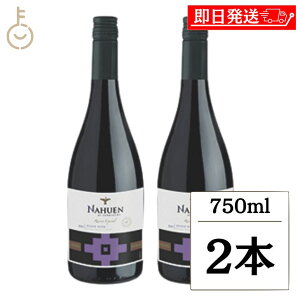 【レビュー投稿で500円OFFクーポン】 ヴィレッジ セラーズ ナウエン レゼルバ エスペシアル ピノ ノワール S22 750ml 2本 赤ワイン ワイン 果実酒 辛口 チリ ランキング 業務用 大容量 送料無料