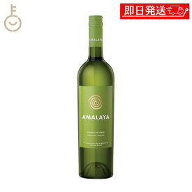 【レビュー投稿で500円OFFクーポン】 ヴィレッジ セラーズ アマラヤ ホワイト S23 750ml 1本 白ワイン ワイン 酒 果実酒 辛口 アルゼンチン ランキング 業務用 大容量 送料無料 お中元2025