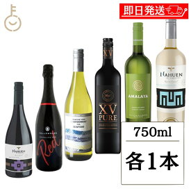 【レビュー投稿で500円OFFクーポン】 ヴィレッジ セラーズ 6種アソート 各1 計6本 ミックスワイン 飲み比べ ワインセット ワインギフト ギフト ワインギフトセット セット 詰め合わせ ワイン 赤ワイン 白ワイン シャンパン 果実酒 お酒 瓶 福袋 セット商品 お中元2025
