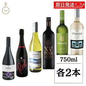【レビュー投稿で500円OFFクーポン】 ヴィレッジ セラーズ 6種アソート 各2 計12本 ミックスワイン 飲み比べ ワインセット ワインギフト ギフト ワインギフトセット セット 詰め合わせ ワイン 赤ワイン 白ワイン シャンパン 果実酒 お酒 瓶 福袋 セット商品 お中元2025