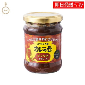 y}\Iő2000~OFFz OEVbv J[̚ `cl 240g 1 J[ XpCX XpCXJ[ }S[ t[eB[ȉʓ t[eB[ Ðh \ {ih 