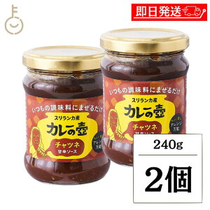 y}\Iő2000~OFFz OEVbv J[̚ `cl 240g 2 J[ XpCX XpCXJ[ }S[ t[eB[ȉʓ t[eB[ Ðh \ {ih 