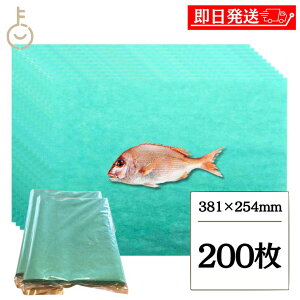 y}\Iő2000~OFFz O[p[` 100 8 381mm×254mm 2 Lb`y[p[ y[p[^I RpNg lc ޗ΂̎  ΂̎ O[p[` O[V[